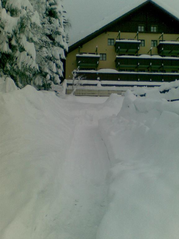 Nevesole Folgarida Resort Aparthotel Exterior foto